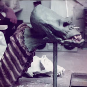 Related image: 112d2543