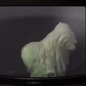 Related image: f2523dfe