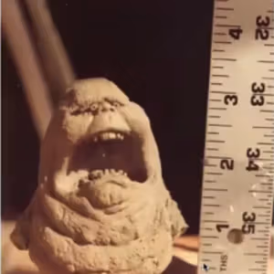 Related image: b3216966