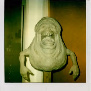 Related image: 81cf7c01