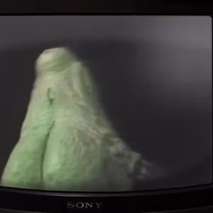 Related image: d6f73bd6
