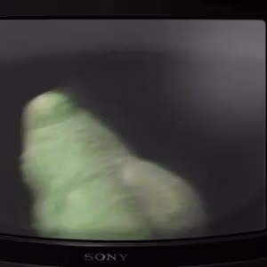 Related image: 171f2033
