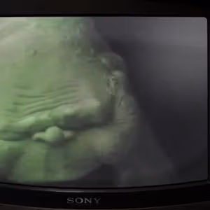 Related image: 5ca6933e
