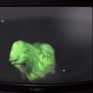 Related image: 5b534e4e