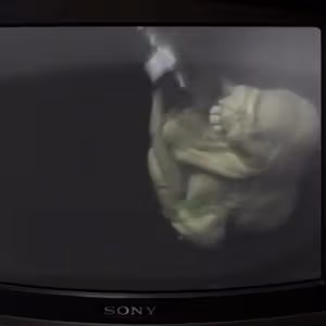 Related image: 57e1aeb3