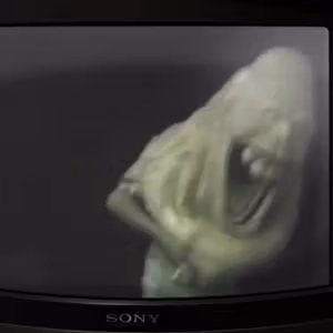 Related image: 19d3f266