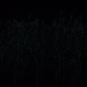 Ghostbusters: Afterlife 4K Screenshot (0:03:09.19)