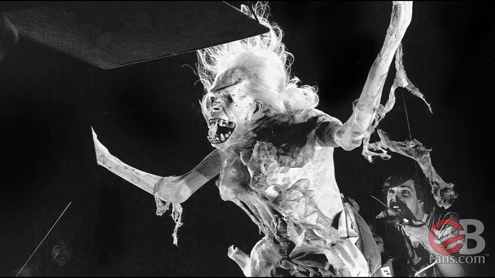 Image from Library Ghost