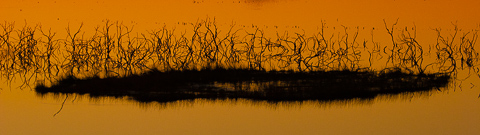 Bramble and Grass Islet at Topock