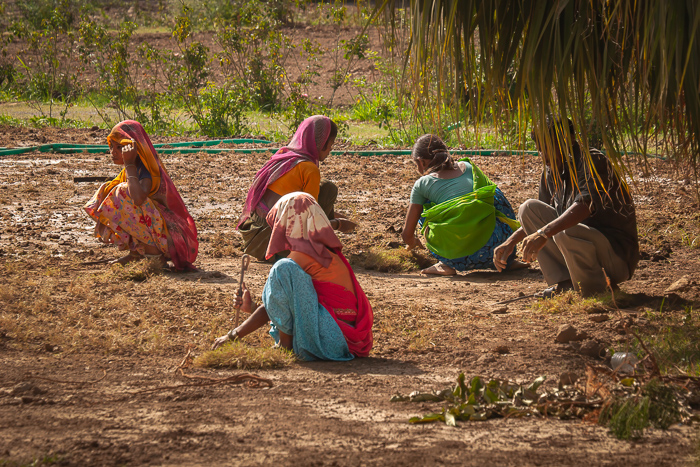 Field Laborers