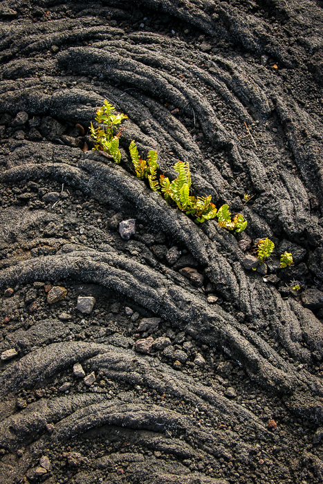 Life in Lava II
