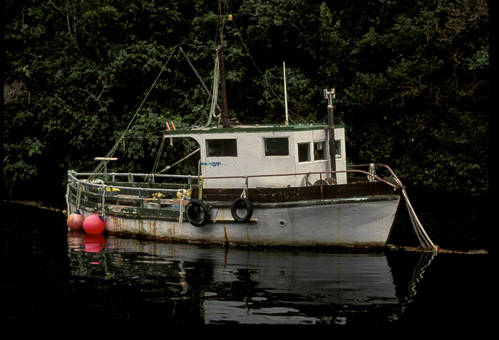 Old Fishing Boat