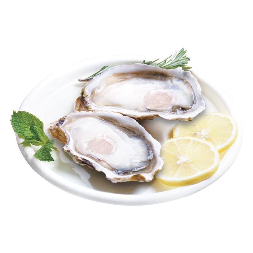 FROZEN HALF SHELL OYSTER