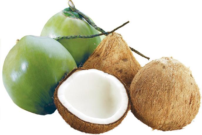 MATURE COCONUT