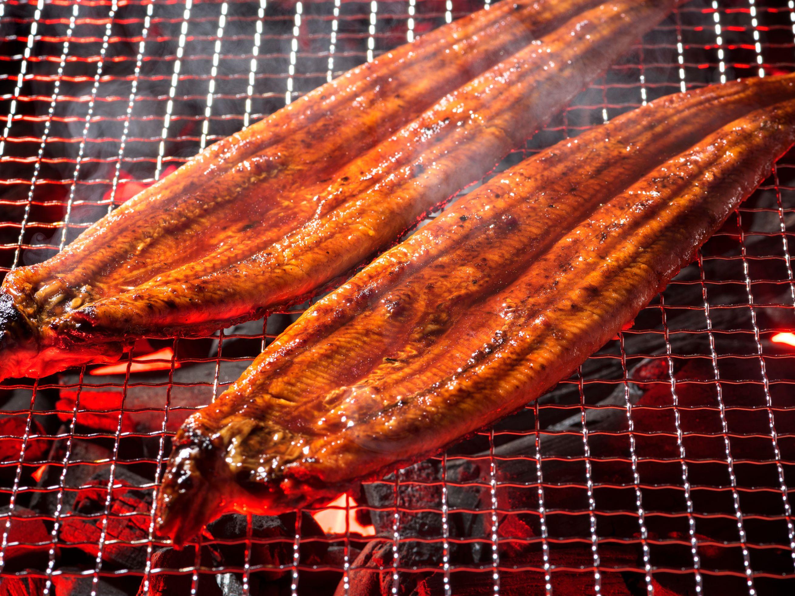 Roasted Eels With Kabayaki Sauce (RTE Unagi)
