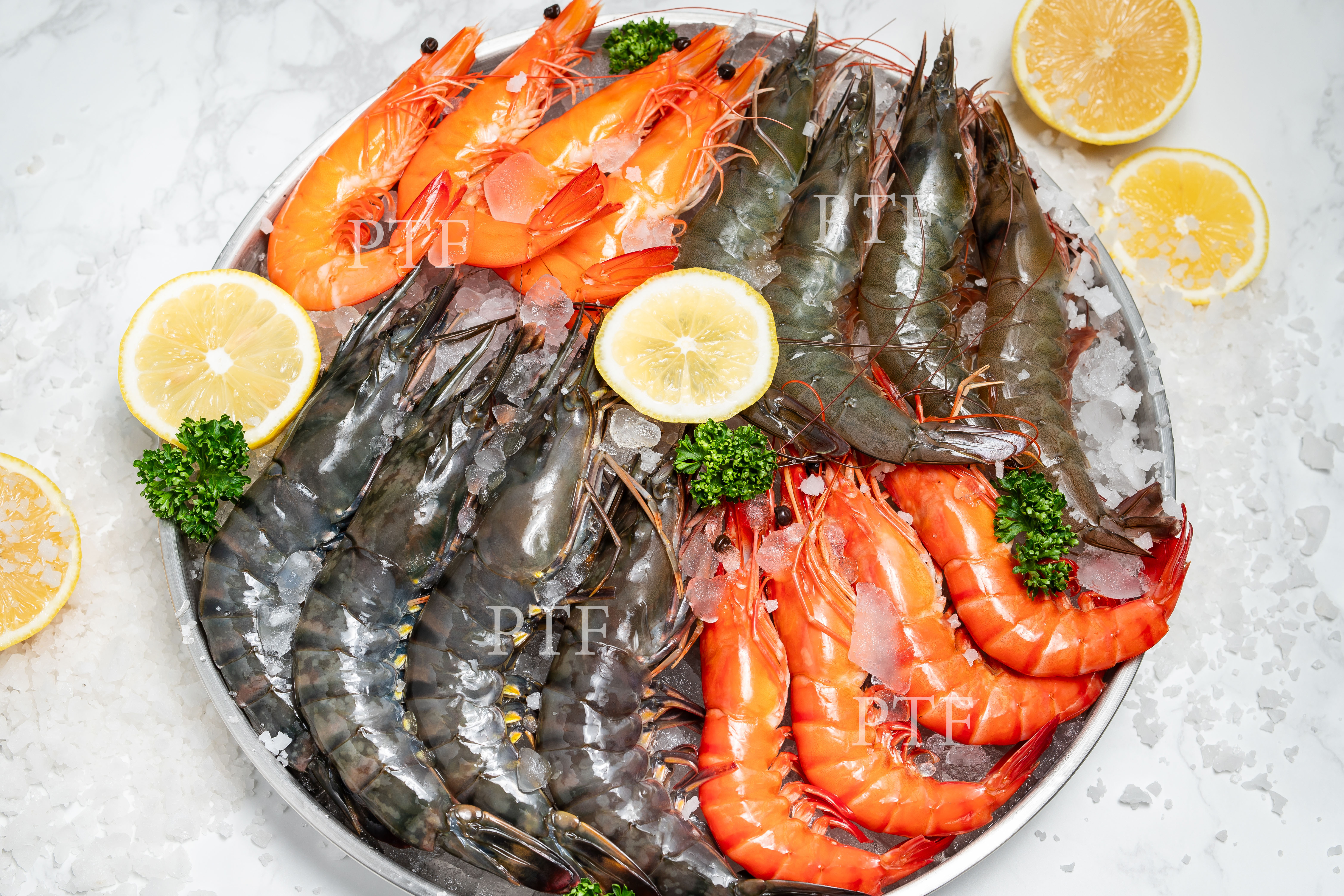 Live Frozen Shrimp