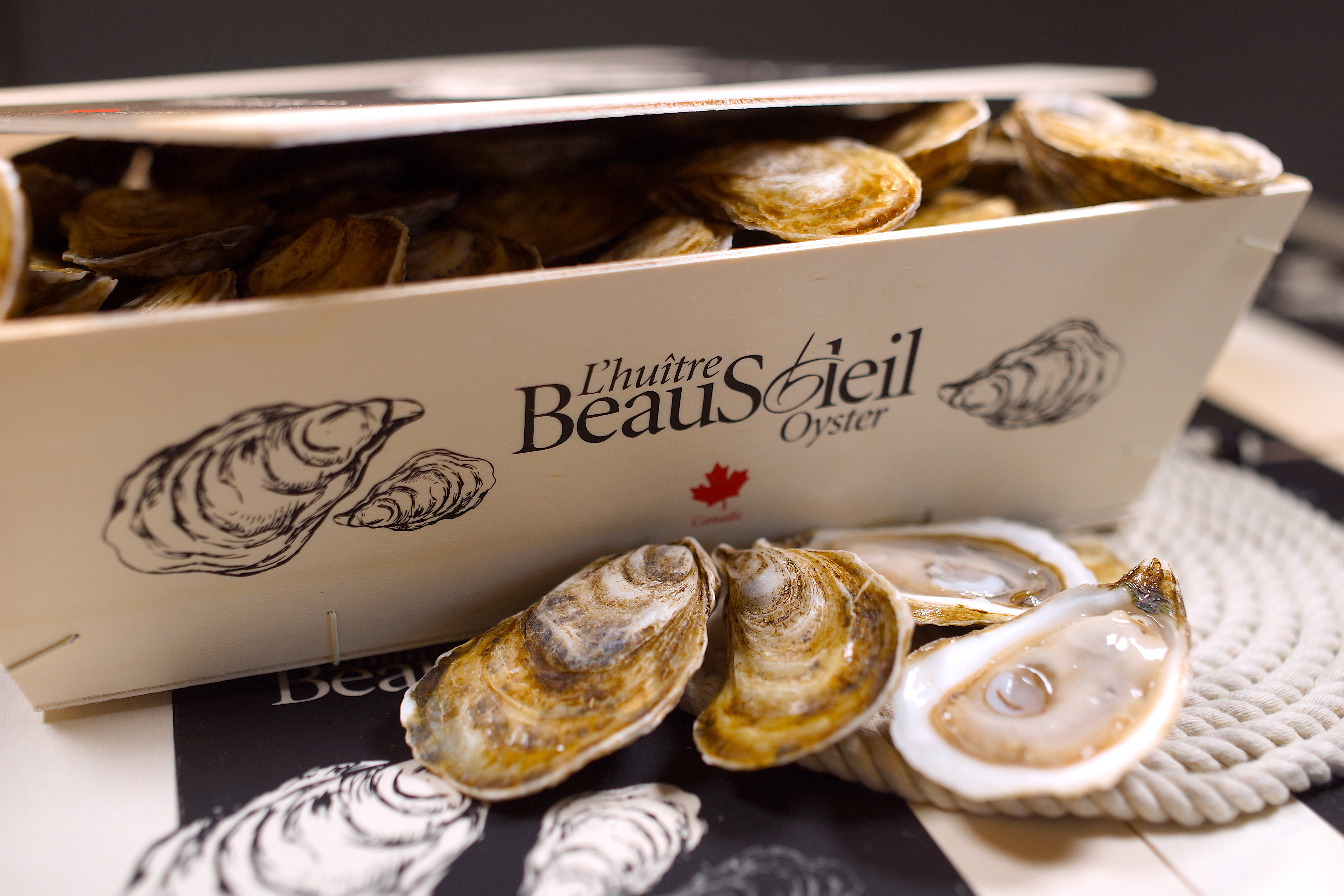 BeauSoleil Oysters