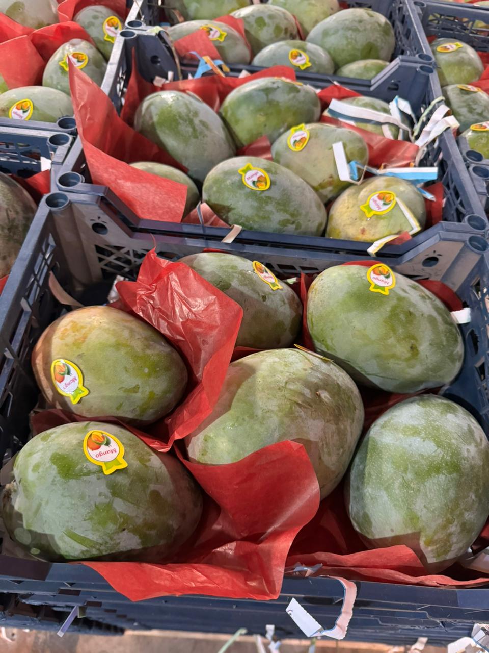 Mangoes