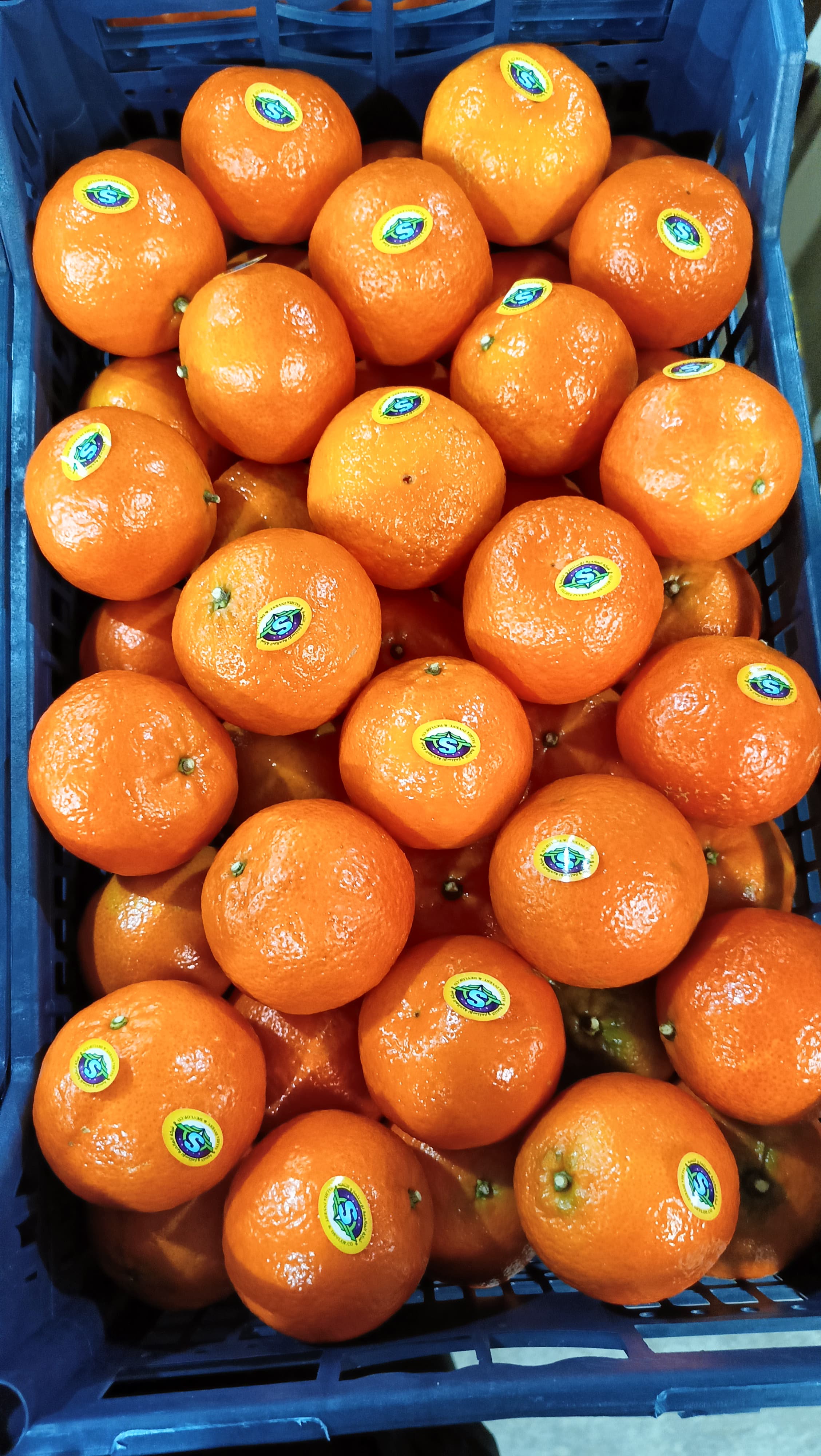 Mandarin