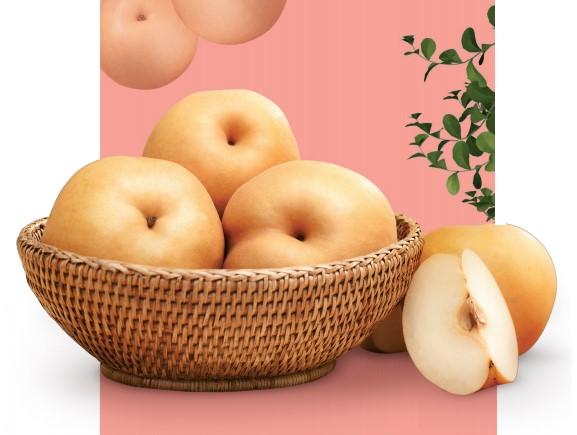 FRESH KOREA PEAR