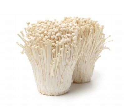 FRESH KOREA ENOKI MUSHROOM