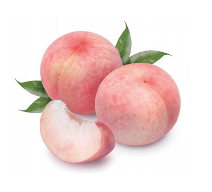 FRESH KOREA PEACH