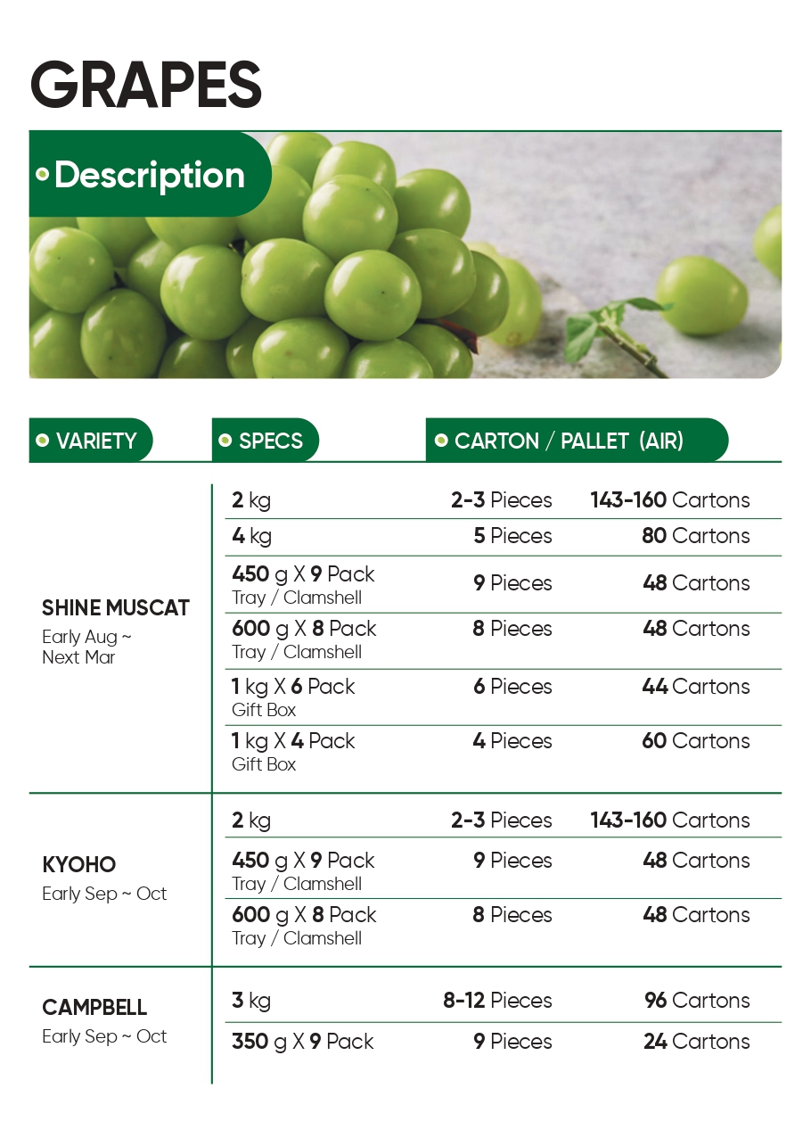 KOREAN FRESH GRAPE