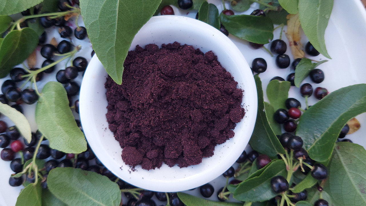 Maquiberry Freeze Dried Powder