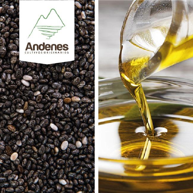 Chia seeds and derivates