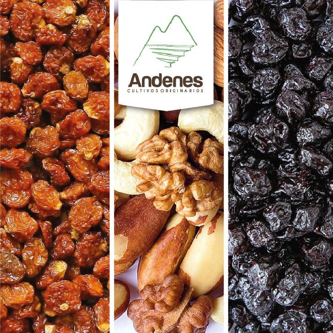 Dried Fruits and nuts