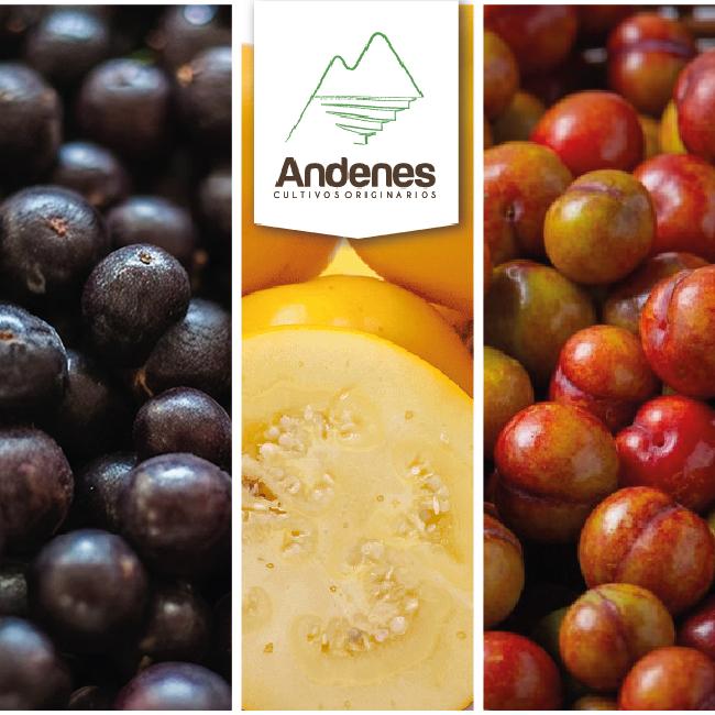 Frozen fruits