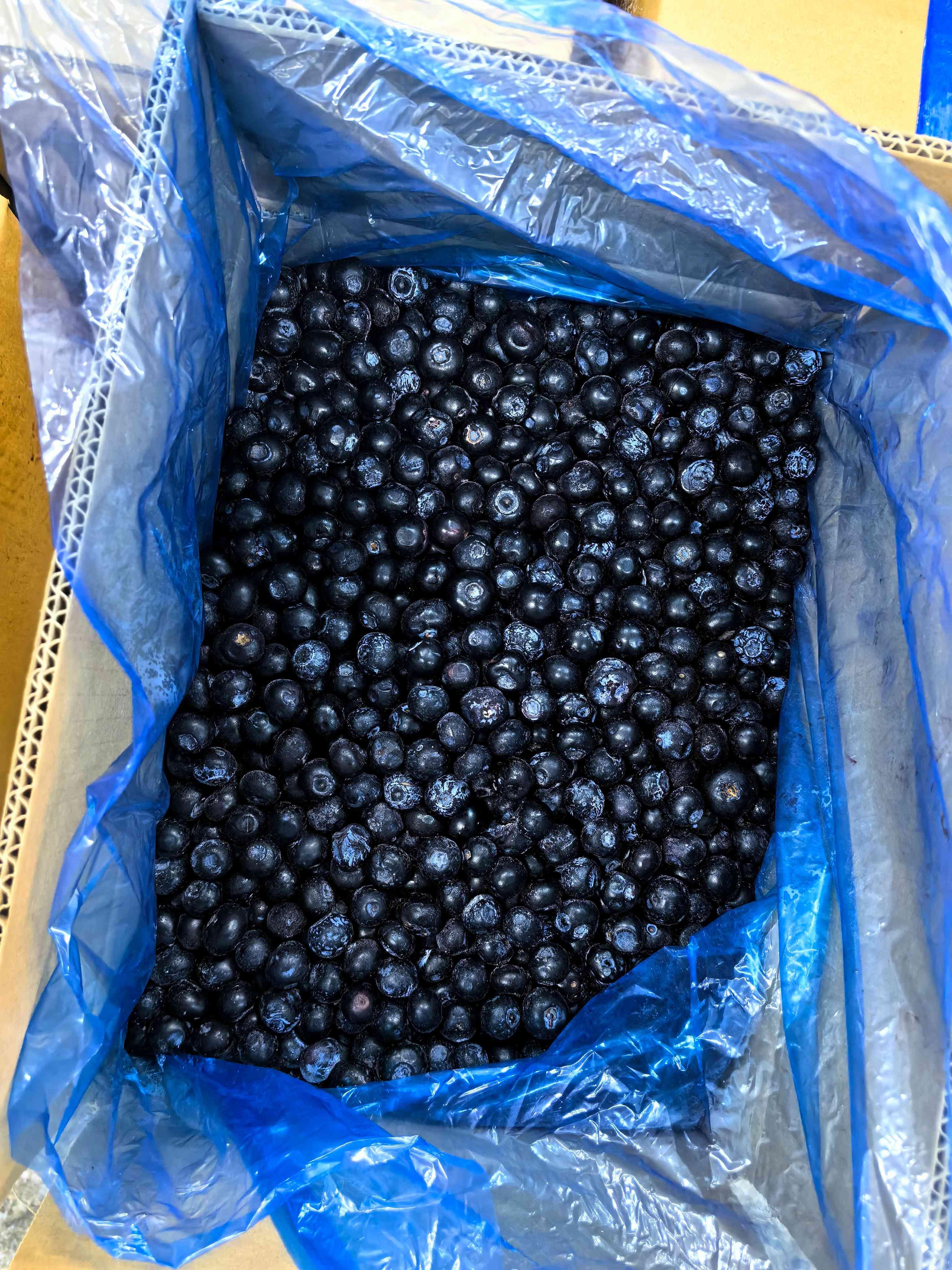 Frozen Blueberry