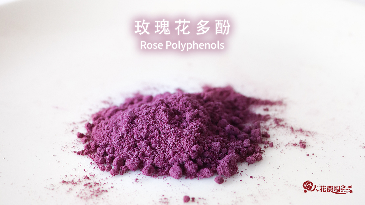 Rose polyphenols