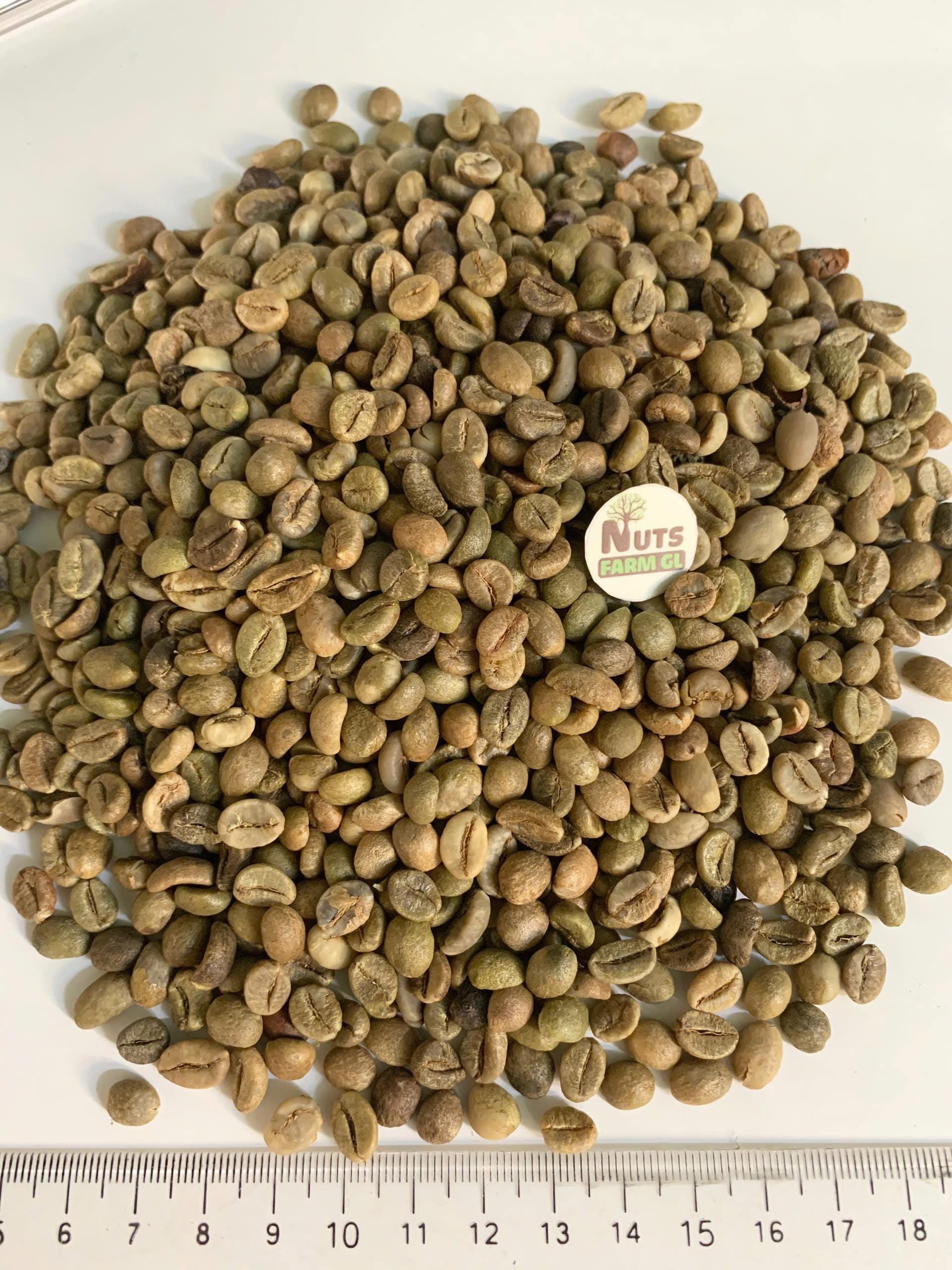 ROBUSTA COFFEE BEANS