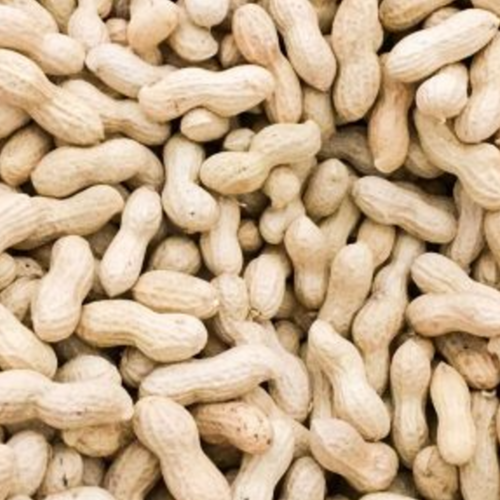 Inshell Peanuts - Extra White Colour