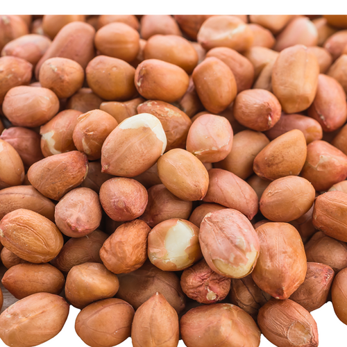 Runner (Regular) Peanut Kernels