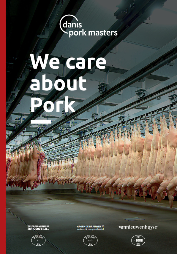 Bulk cut frozen pork meat