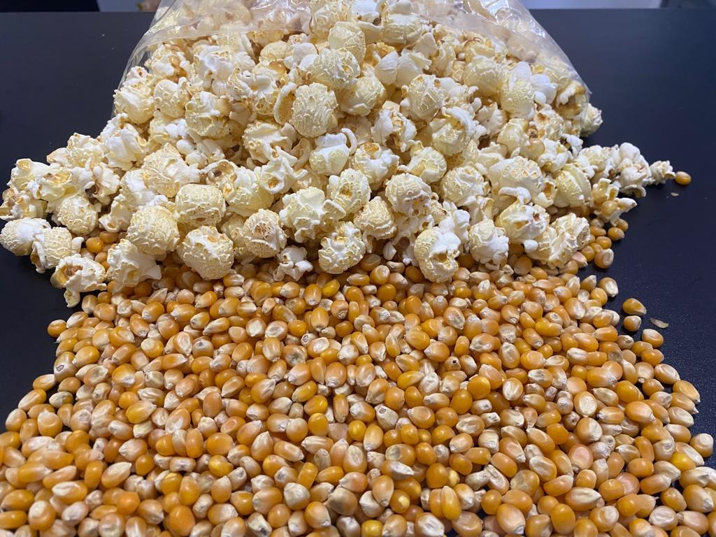 Popcorn Mushroom