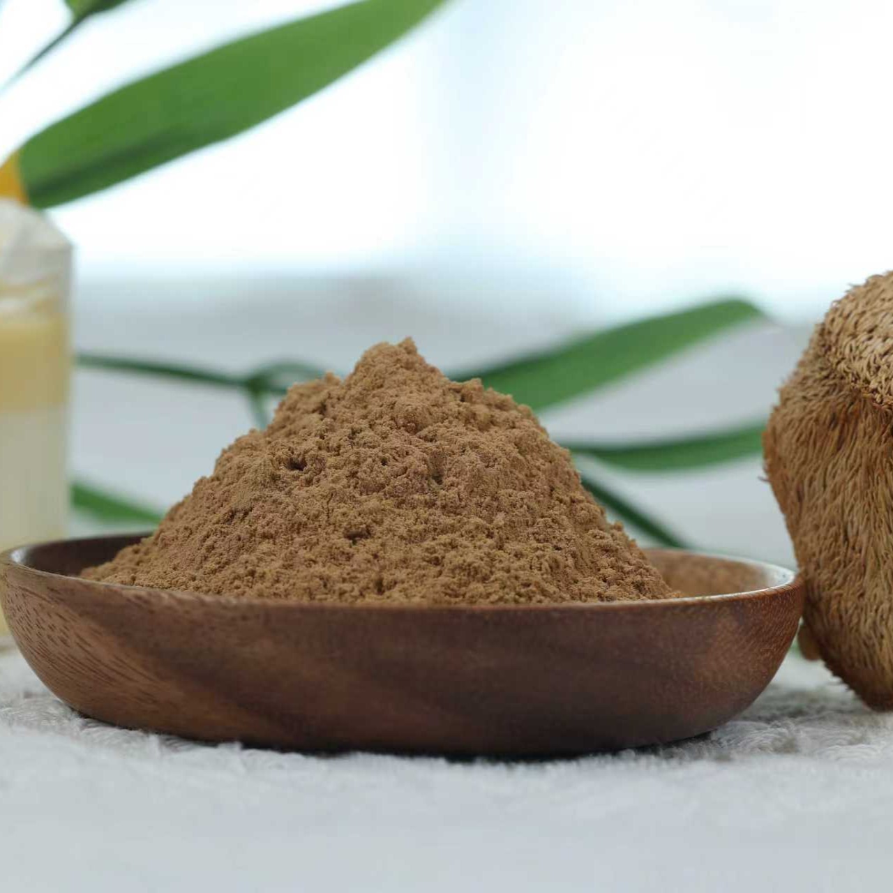 Organic Lion's mane (Hericium erinaceus) Powder