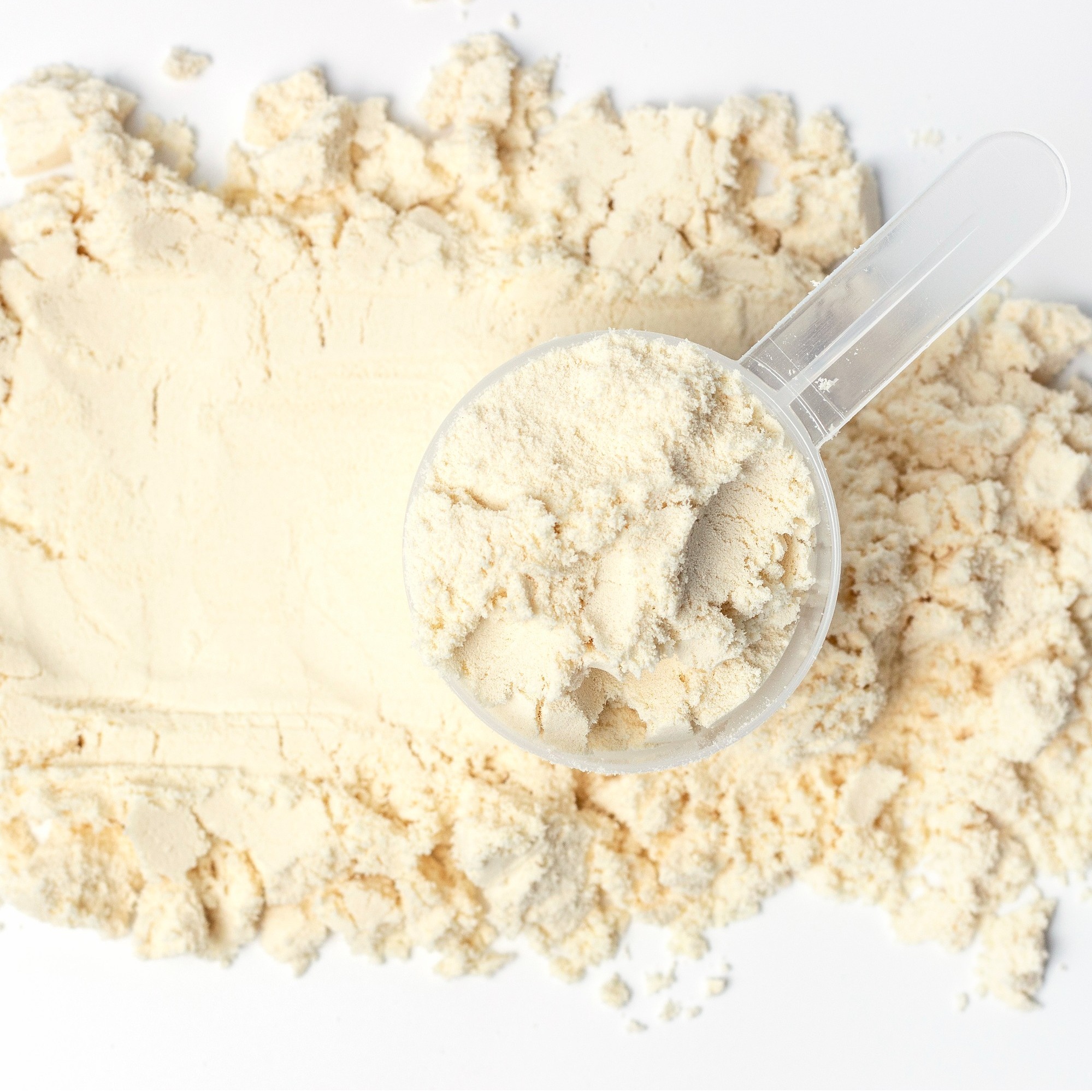 Whey Protein Concentrate