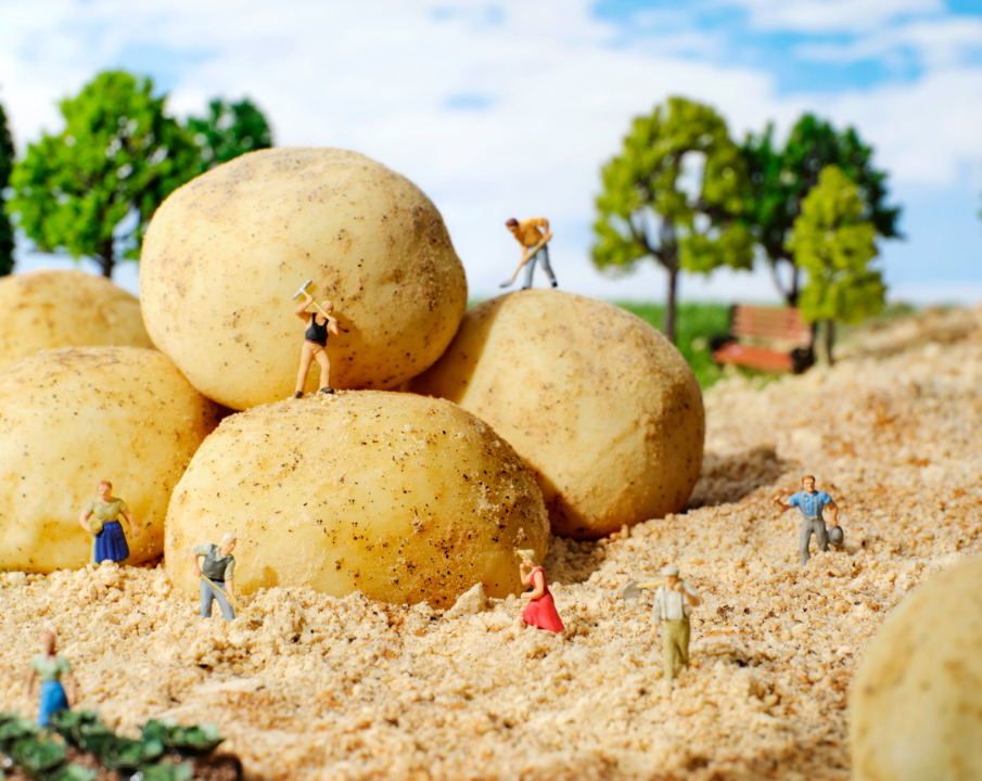 Gamza Bbang(Potato Bun)