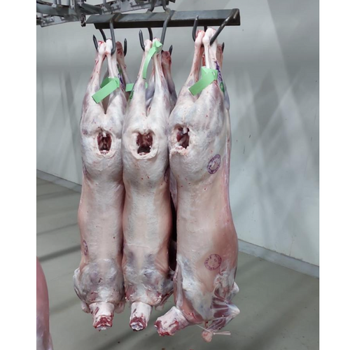 Lamb Carcass