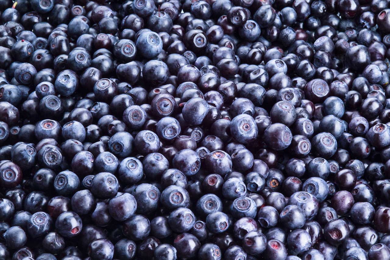 Frozen wild blueberry