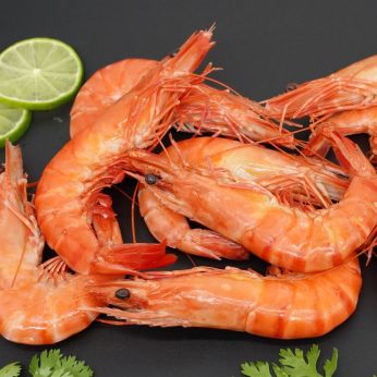 Shrimp