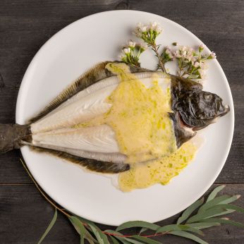Atlantic Halibut