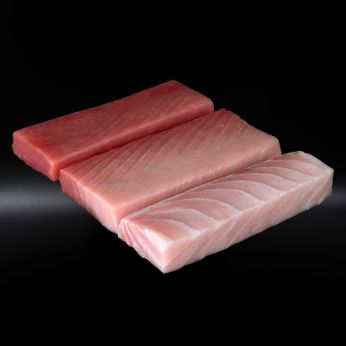 BLUEFIN TUNA (Thunnus Thynnus)