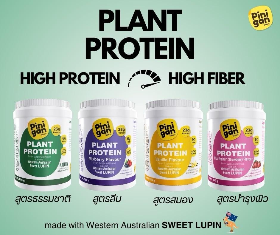 Pinigan Plant protein