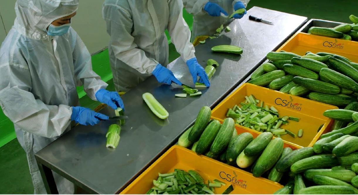 Minimal Processed Vegetable Supply