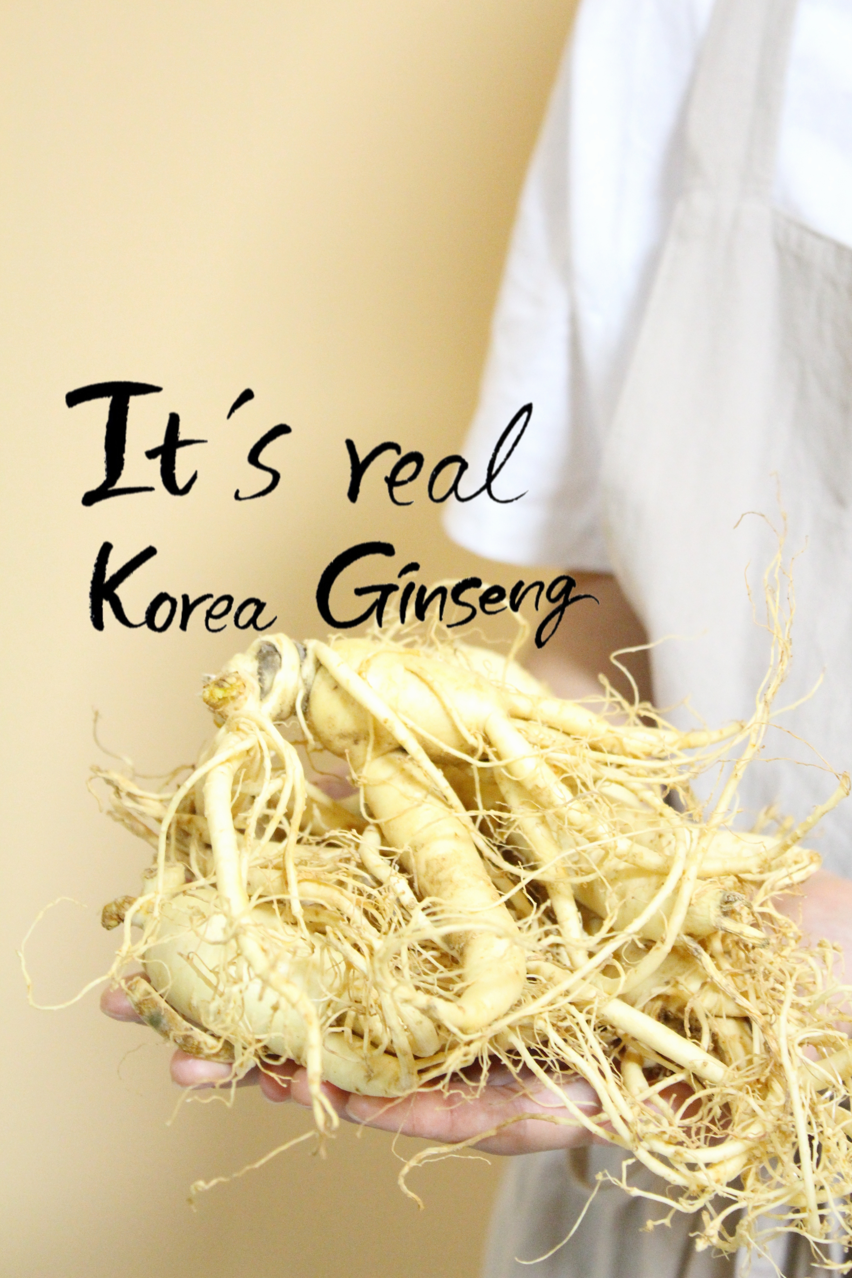 Ginseng chip