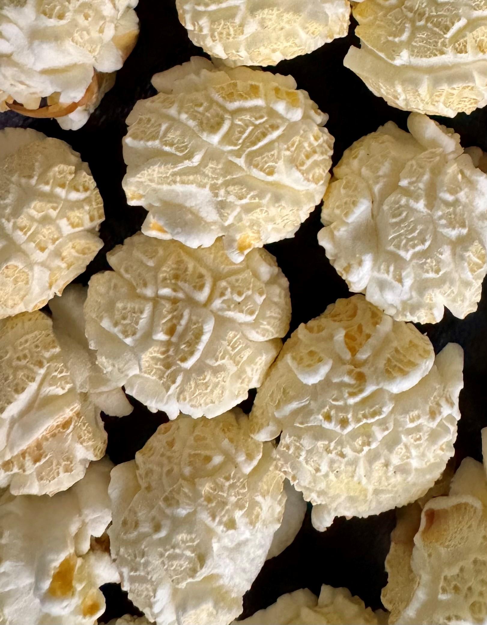USA Premium Mushroom Popcorn